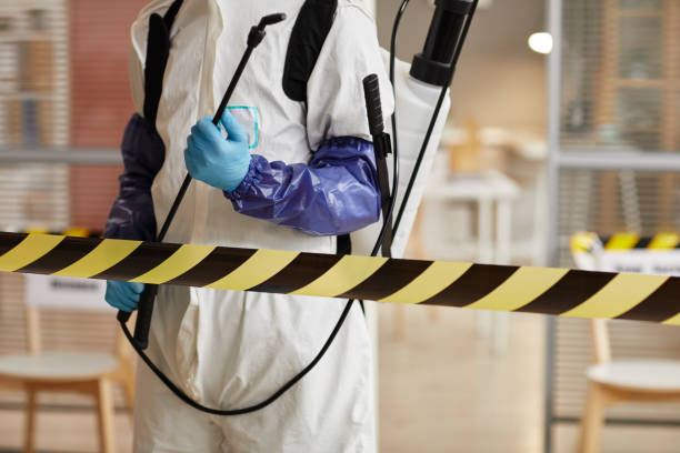 Professional Sewage Cleanup technician working in Fall City, WA